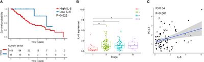 Metformin Downregulates PD-L1 Expression in Esophageal Squamous Cell Carcinoma by Inhibiting IL-6 Signaling Pathway